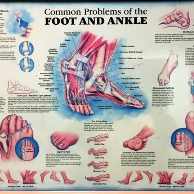 best tips for healthy feet