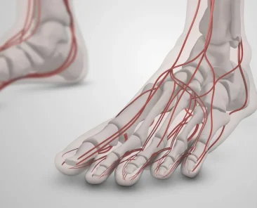 neuropathy treatments for feet - nerves