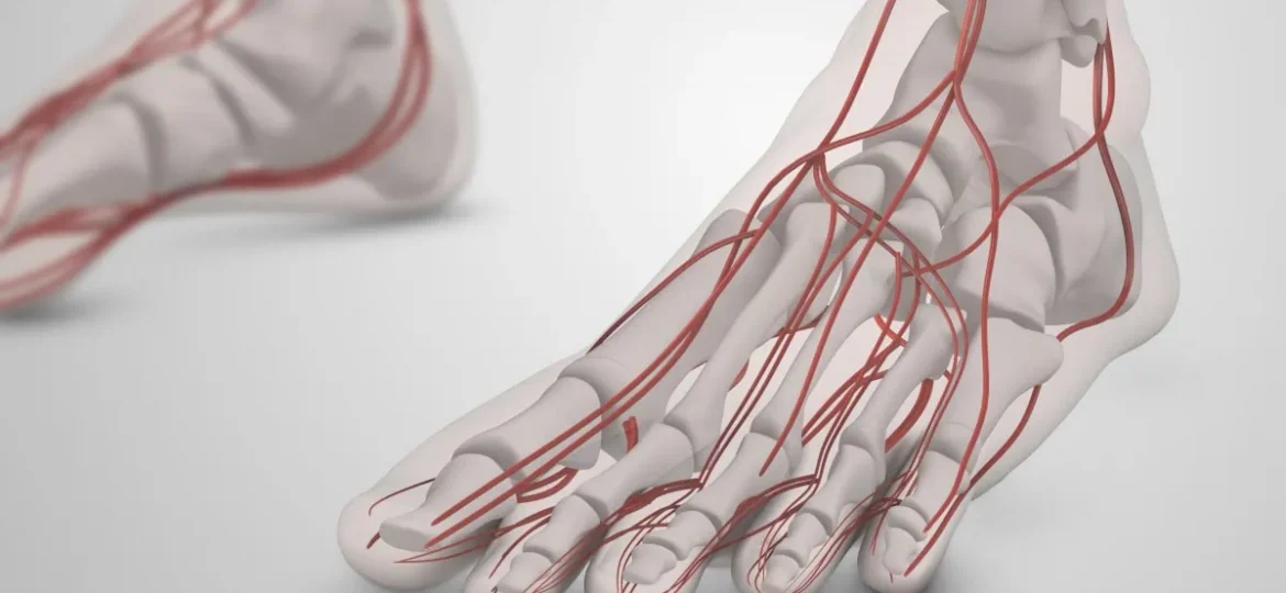 neuropathy treatments for feet - nerves